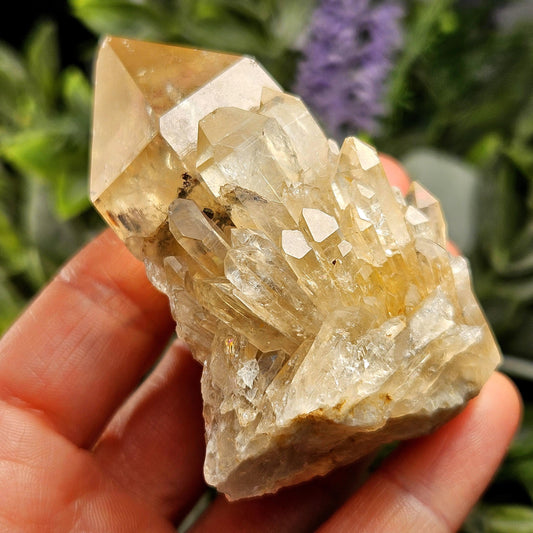 Kundalini Congo Citrine Quartz Cluster 128.03g, Smoky Citrine Crystal Multi