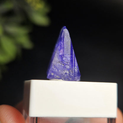 Raw Tanzanite Crystal 3.16g, Raw Indigo Tanzanite, Terminated Specimen