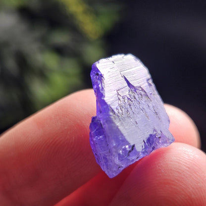 Raw Tanzanite Crystal 3.16g, Raw Indigo Tanzanite, Terminated Specimen
