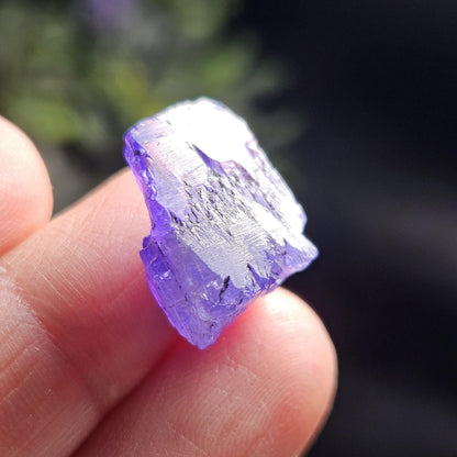 Raw Tanzanite Crystal 3.16g, Raw Indigo Tanzanite, Terminated Specimen