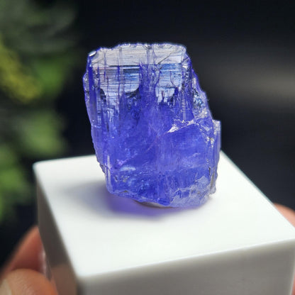 Raw Tanzanite Crystal 3.16g, Raw Indigo Tanzanite, Terminated Specimen