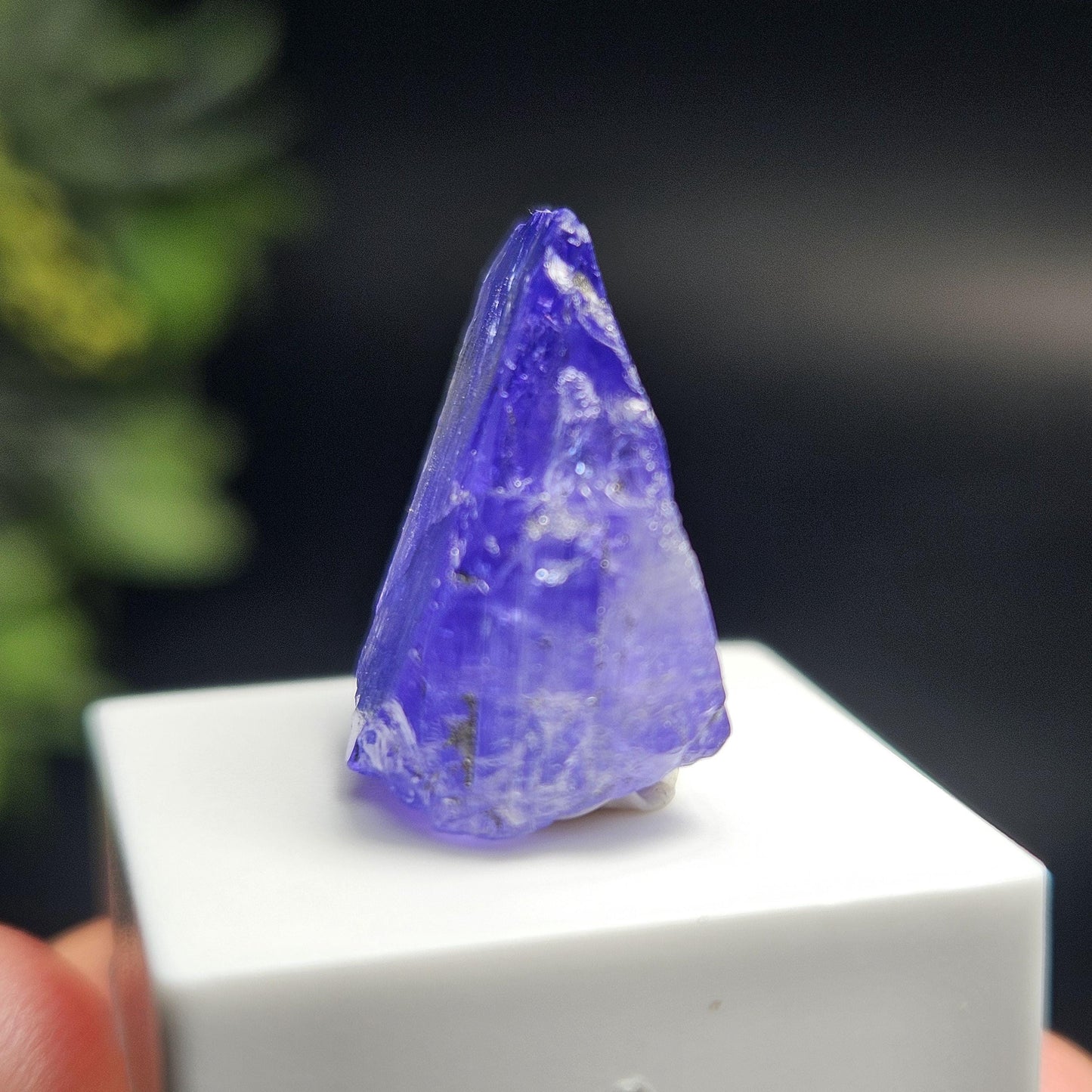 Raw Tanzanite Crystal 3.16g, Raw Indigo Tanzanite, Terminated Specimen