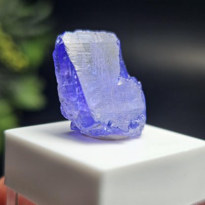 Raw Tanzanite Crystal 3.16g, Raw Indigo Tanzanite, Terminated Specimen