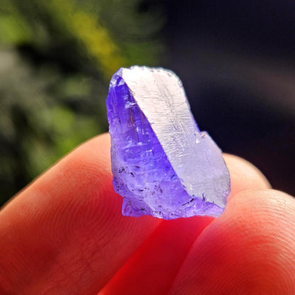 Raw Tanzanite Crystal 3.16g, Raw Indigo Tanzanite, Terminated Specimen