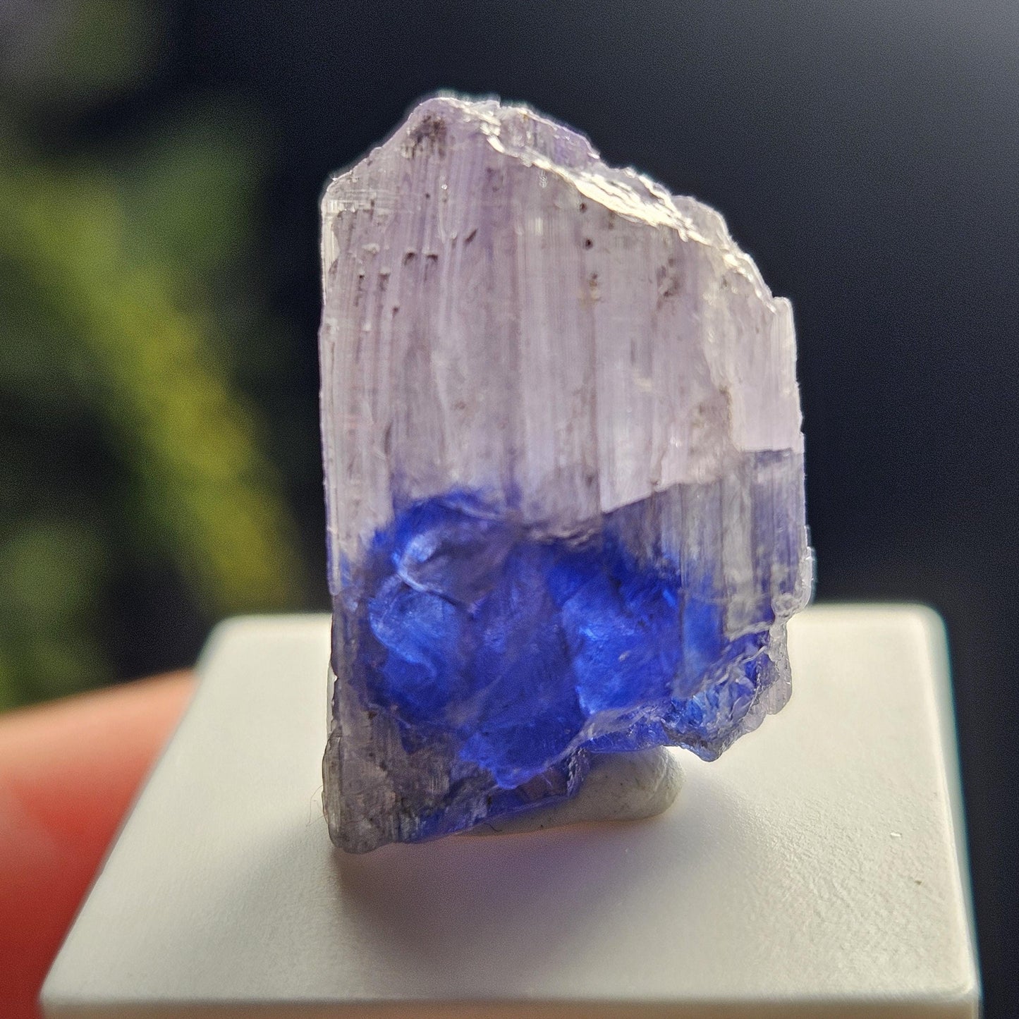 Bi-Colored Tanzanite Crystal, 3.91 grams