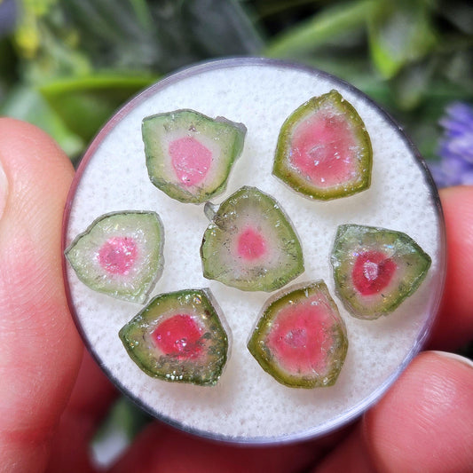 Watermelon Tourmaline Crystal Slice, Natural Polished Specimen (5 to 10mm)