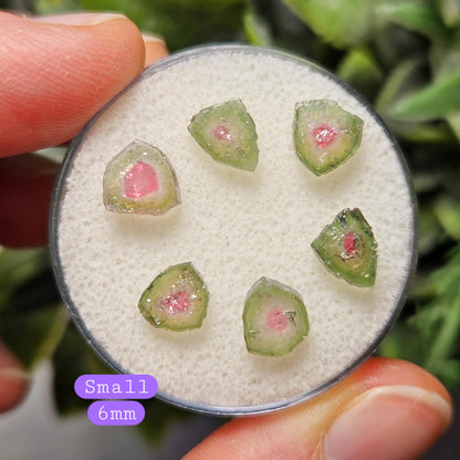 Watermelon Tourmaline Crystal Slice, Natural Polished Specimen (5 to 10mm)