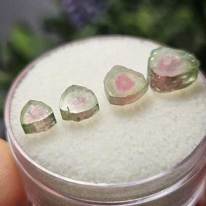 Watermelon Tourmaline Crystal Slice, Natural Polished Specimen (5 to 10mm)
