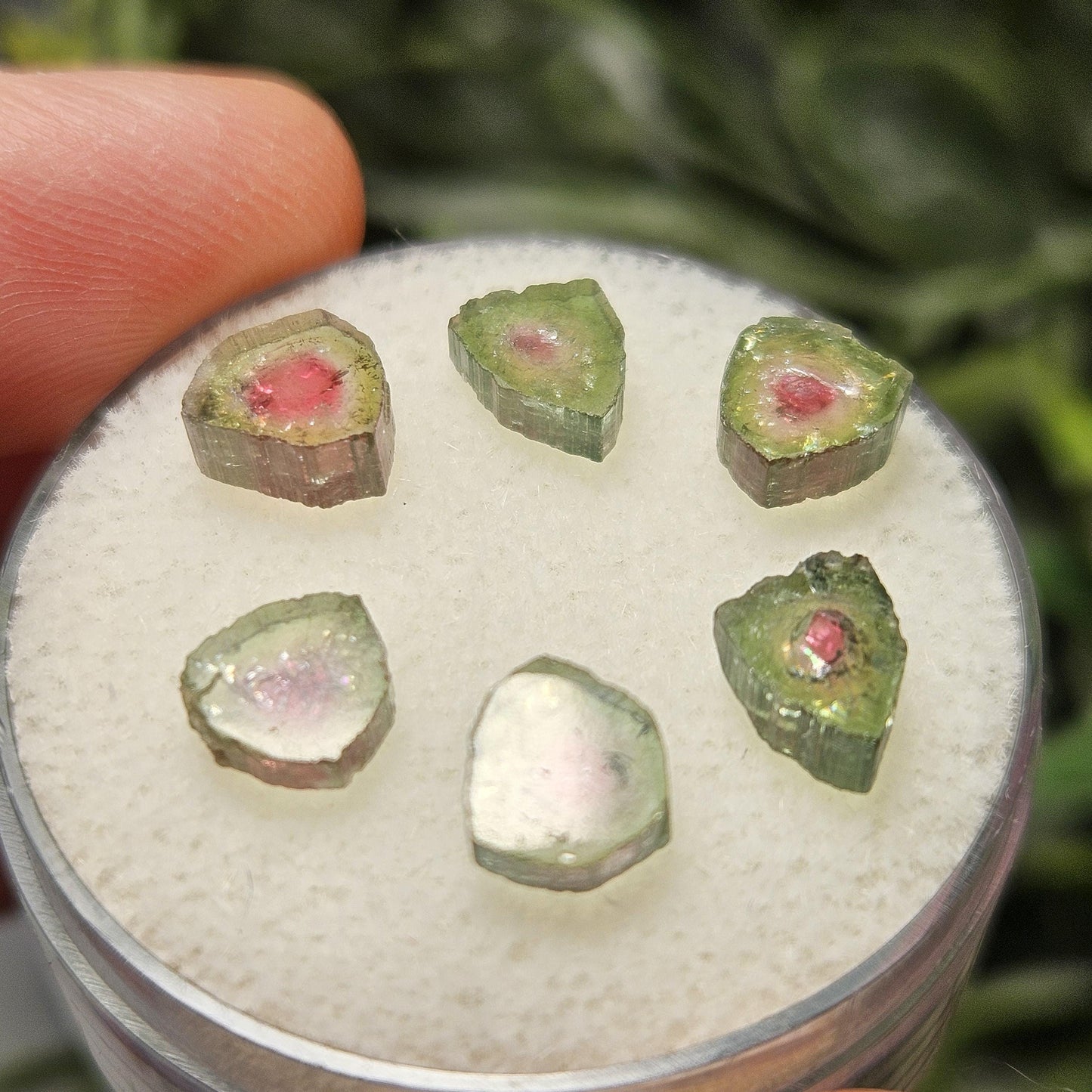 Watermelon Tourmaline Crystal Slice, Natural Polished Specimen (5 to 10mm)