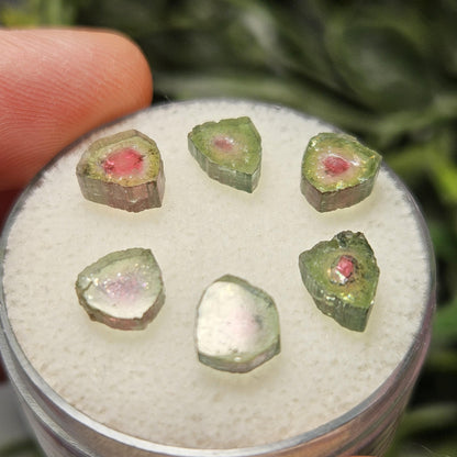 Watermelon Tourmaline Crystal Slice, Natural Polished Specimen (5 to 10mm)