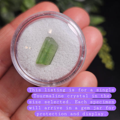 Green Tourmaline Crystal, Terminated Apple Green Gemstone Specimen