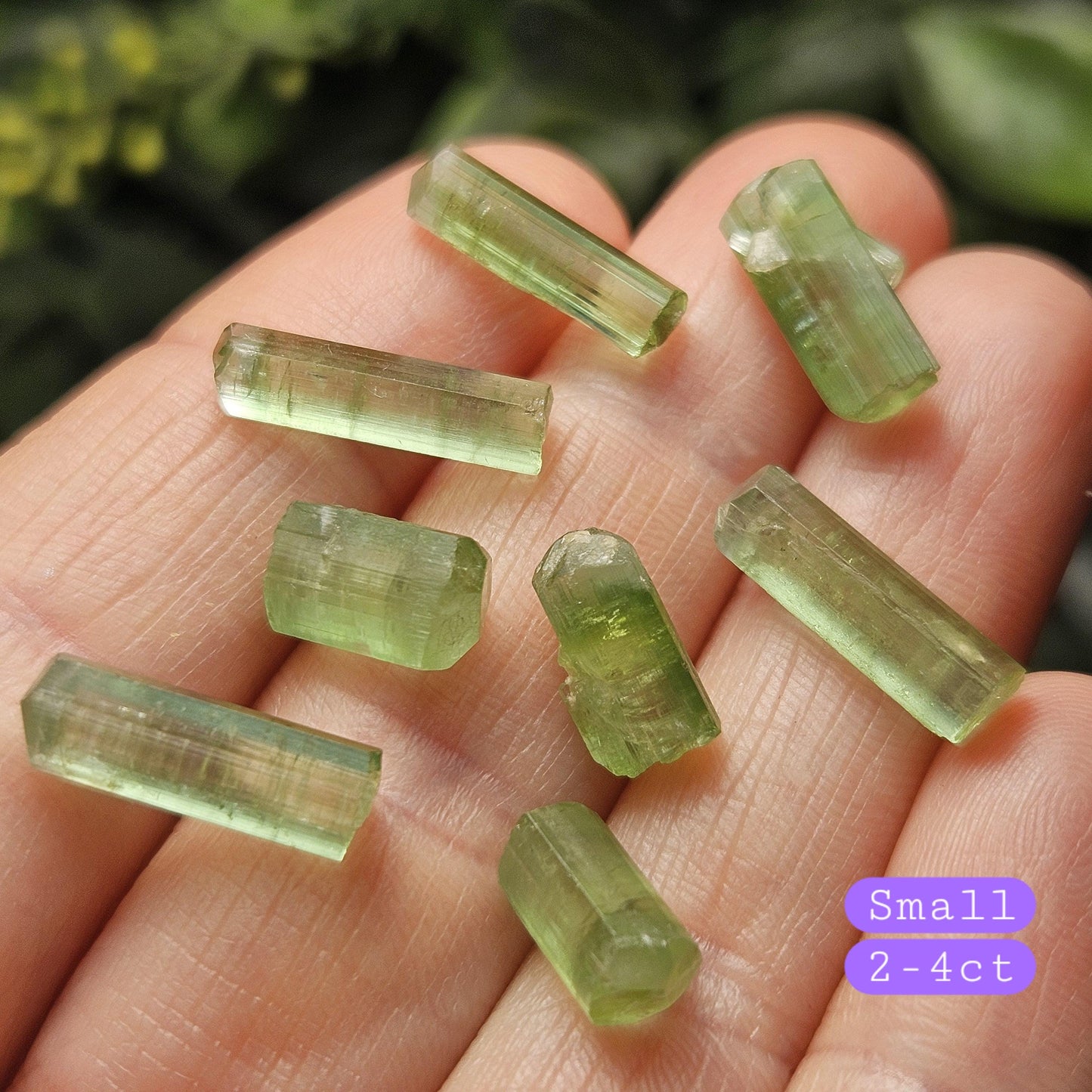 Apple Green Tourmaline Crystal, Terminated Green Gemstone Specimen