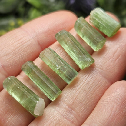 Apple Green Tourmaline Crystal, Terminated Green Gemstone Specimen