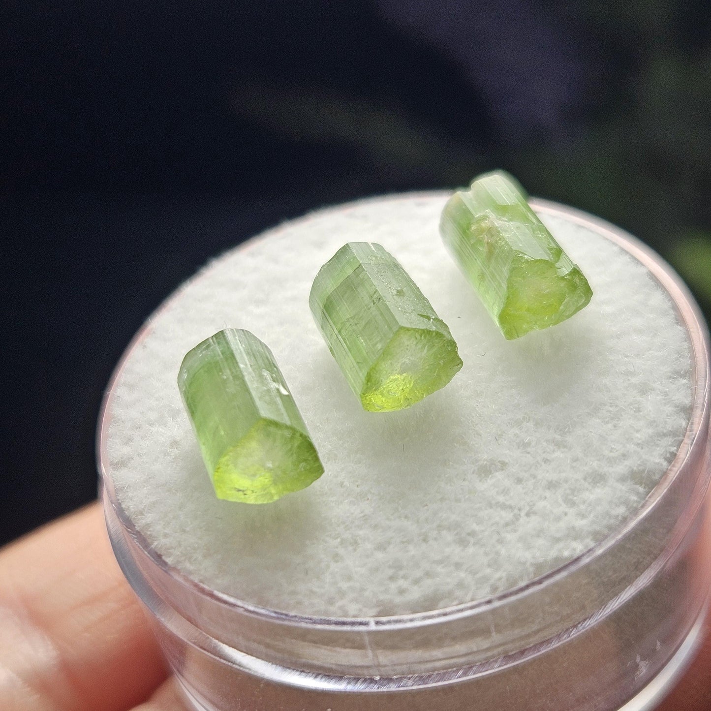 Apple Green Tourmaline Crystal, Terminated Green Gemstone Specimen