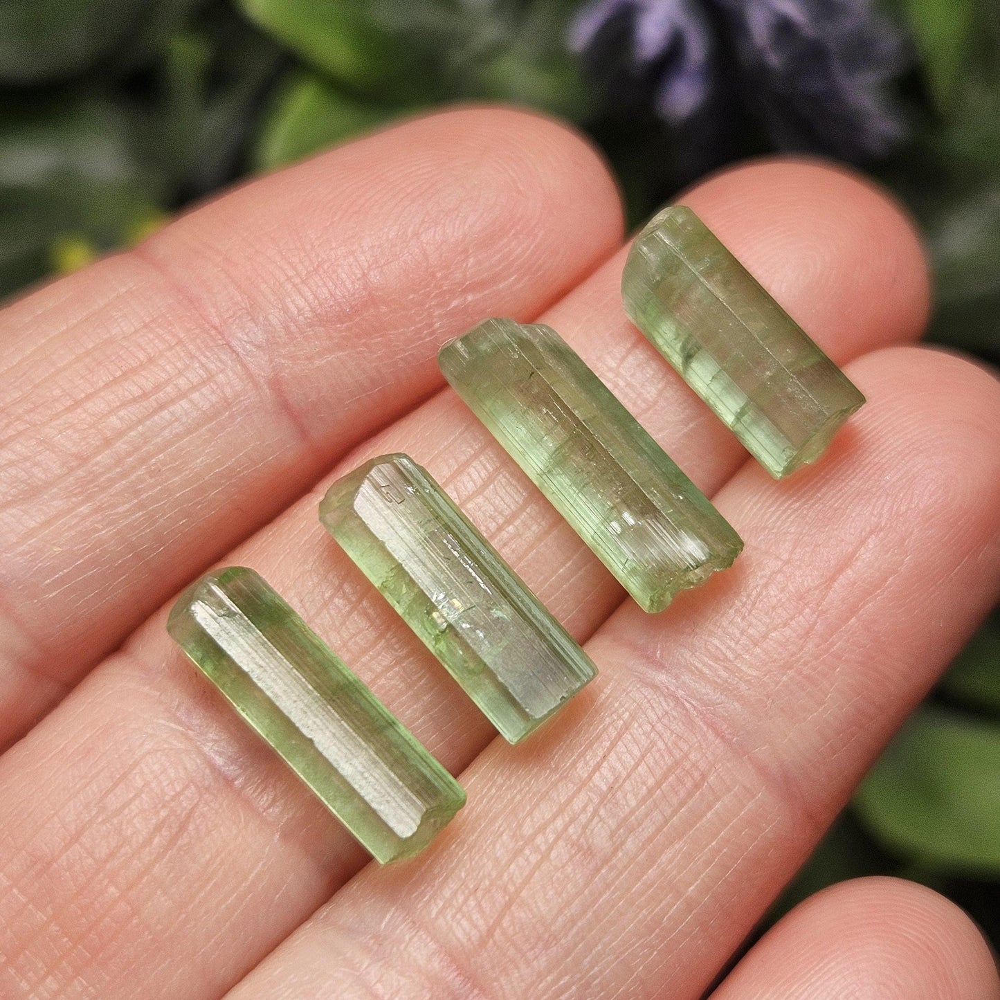 Apple Green Tourmaline Crystal, Terminated Green Gemstone Specimen