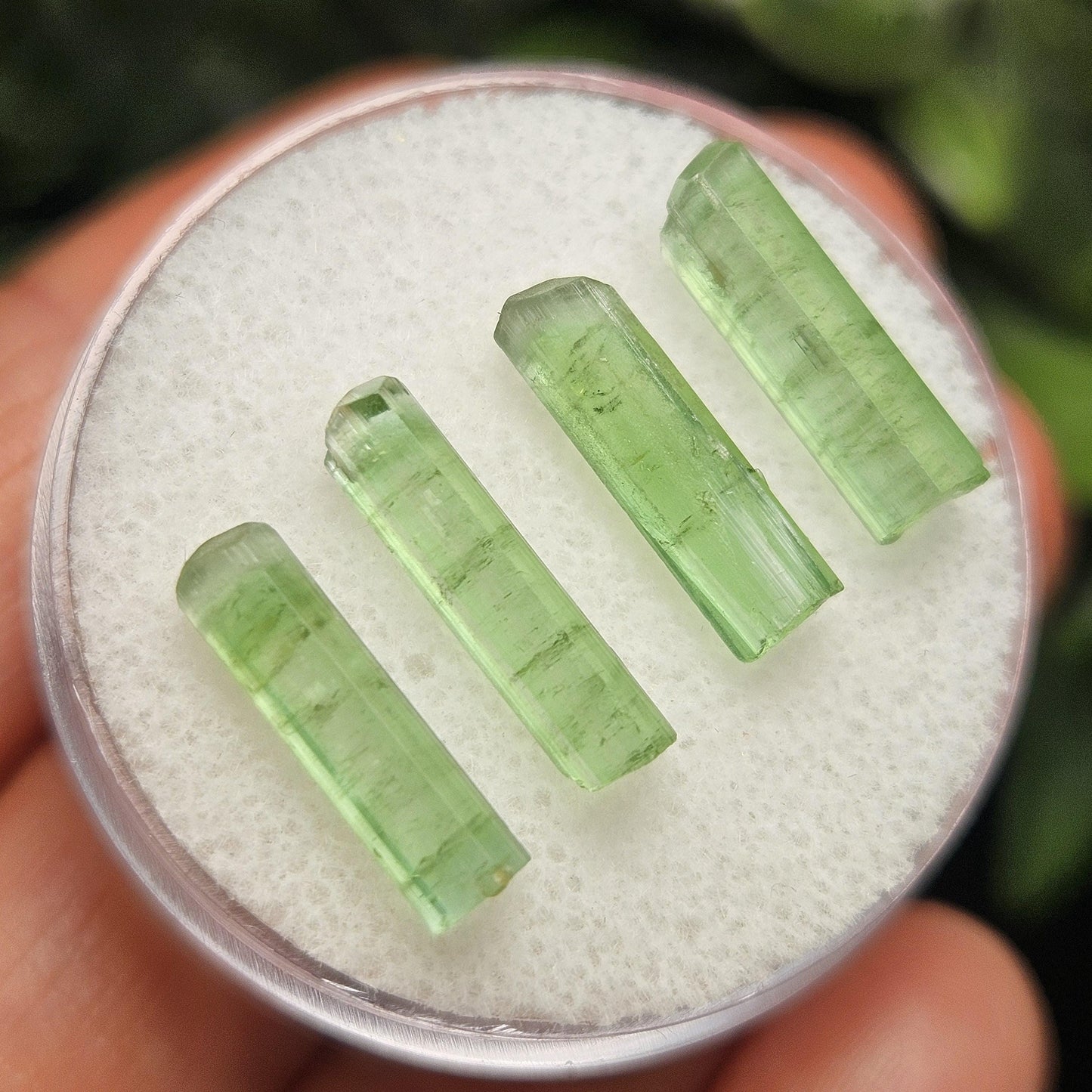 Green Tourmaline Crystal, Terminated Apple Green Gemstone Specimen