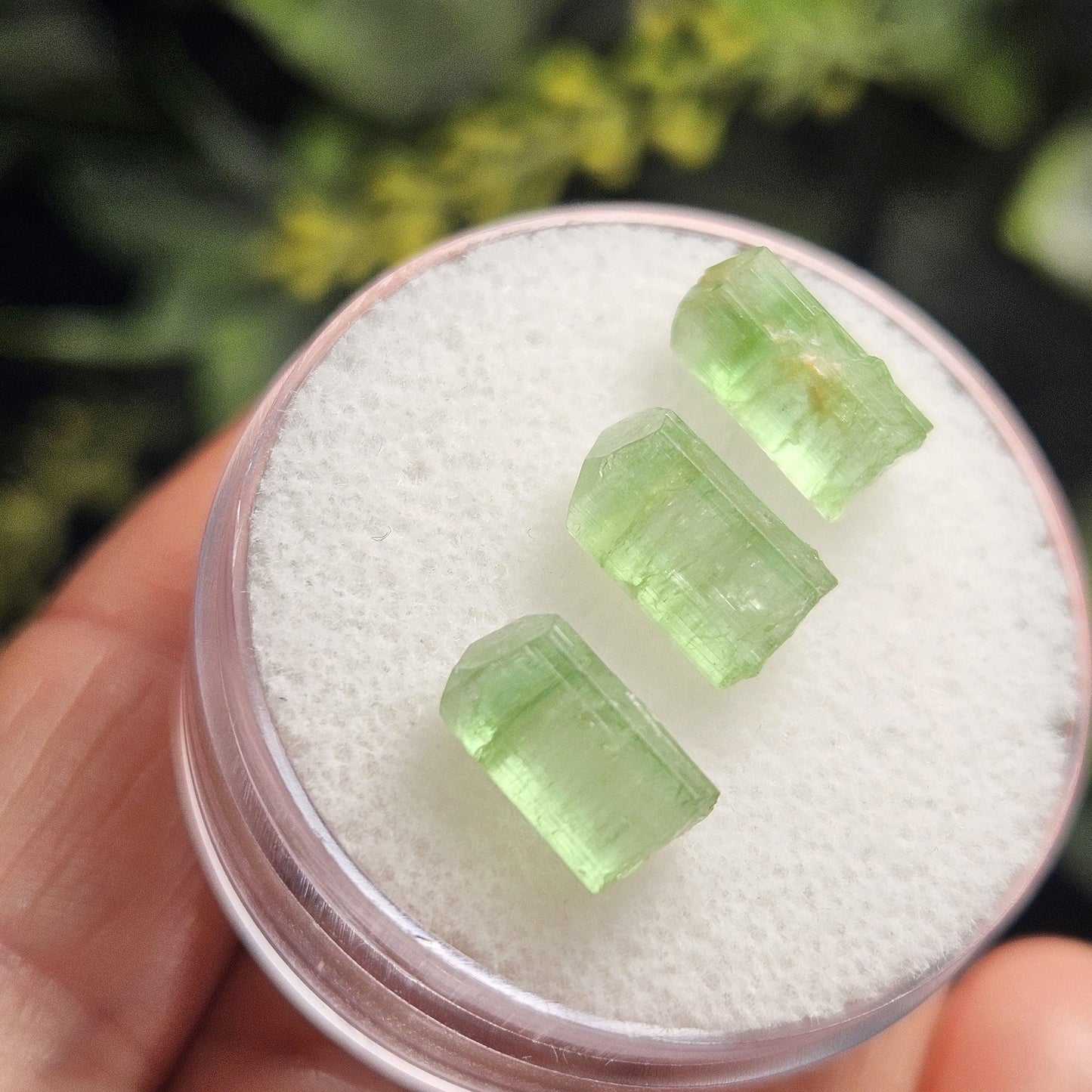 Apple Green Tourmaline Crystal, Terminated Green Gemstone Specimen