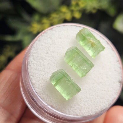 Apple Green Tourmaline Crystal, Terminated Green Gemstone Specimen