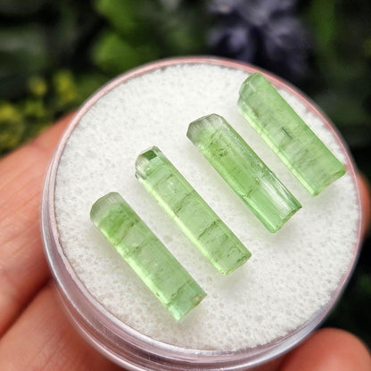 Green Tourmaline Crystal, Terminated Apple Green Gemstone Specimen