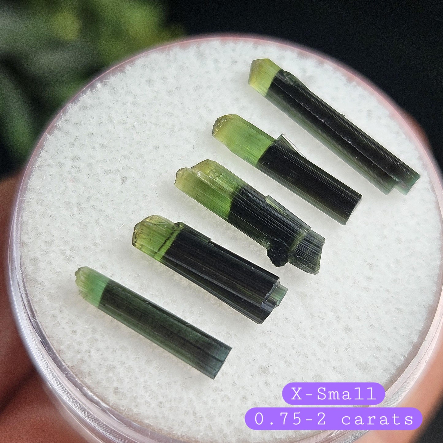 Green Tipped Tourmaline Crystal, Bicolor Green & Black Tourmaline Gemstone Specimen
