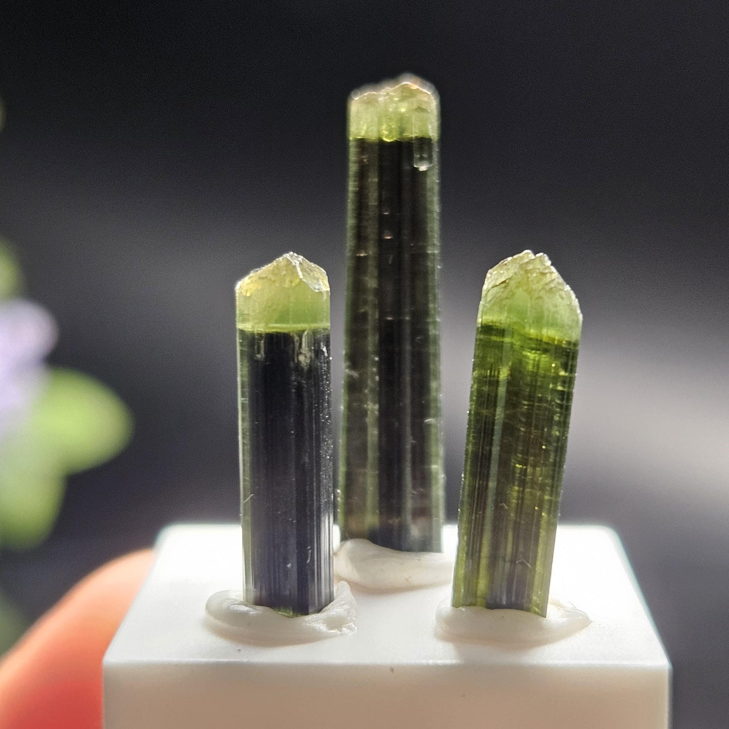 Green Tipped Tourmaline Crystal, Bicolor Green & Black Tourmaline Gemstone Specimen