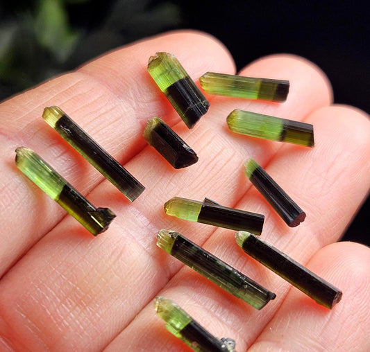 Green Tipped Tourmaline Crystal, Bicolor Green & Black Tourmaline Gemstone Specimen