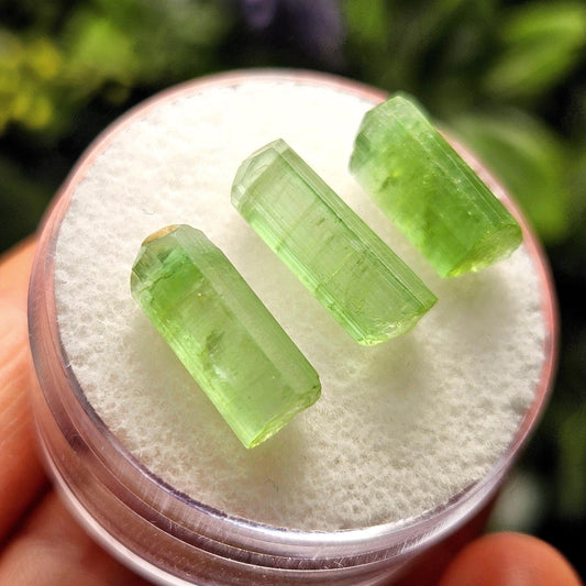 Green Tourmaline Crystal, Terminated Apple Green Gemstone Specimen