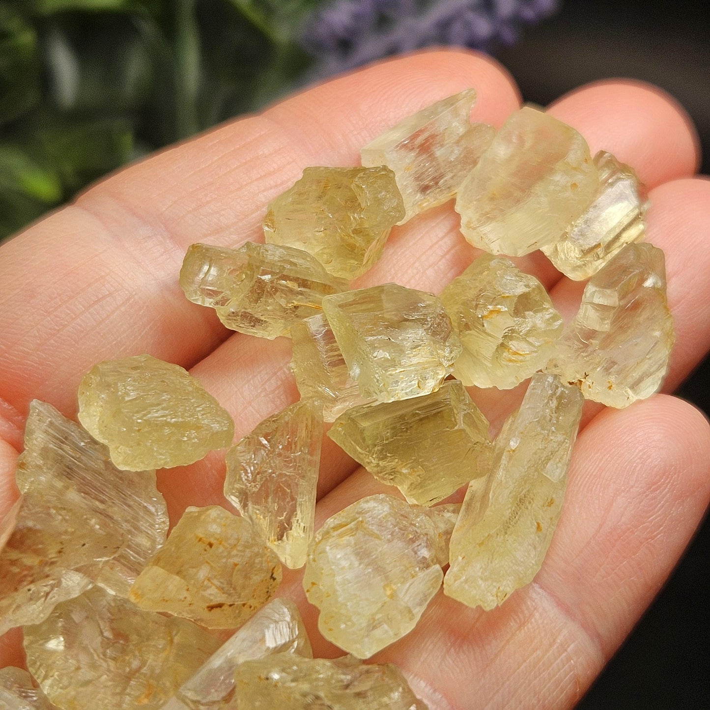 Etched Golden Kunzite Crystal Specimen, Natural Yellow Spodumene