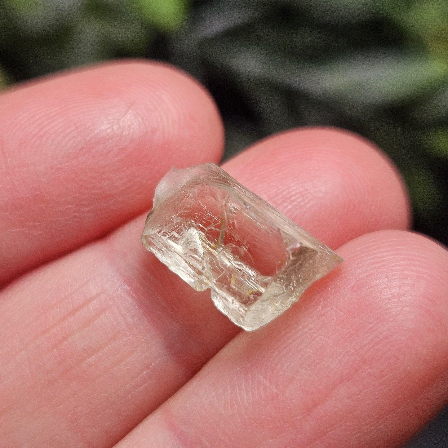 Etched Golden Kunzite Crystal Specimen, Natural Yellow Spodumene