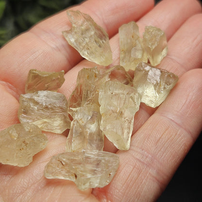 Etched Golden Kunzite Crystal Specimen, Natural Yellow Spodumene