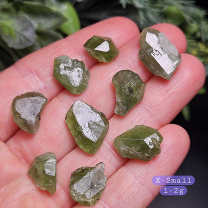 Terminated Chrome Diopside Crystal, Green Alpine Diopside Specimen