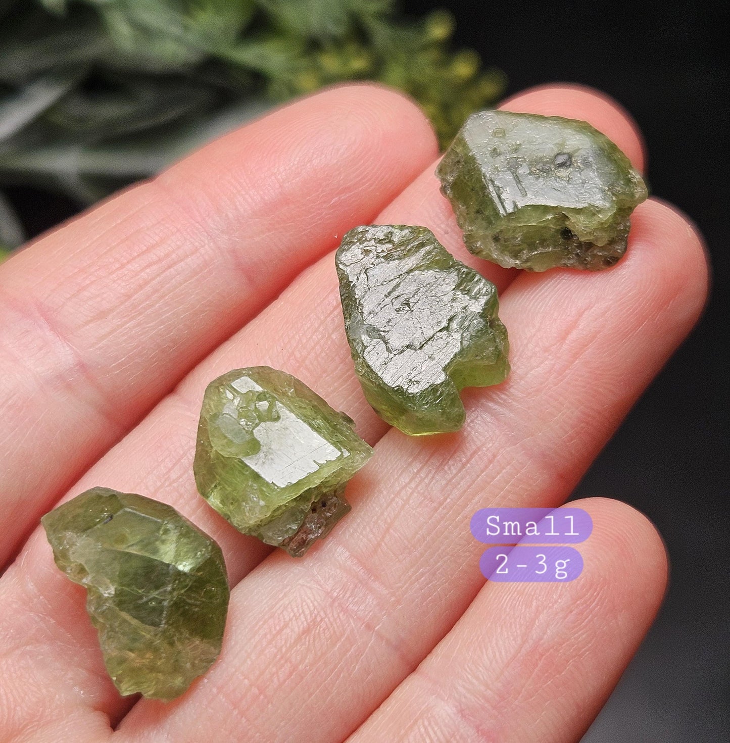 Terminated Chrome Diopside Crystal, Green Alpine Diopside Specimen