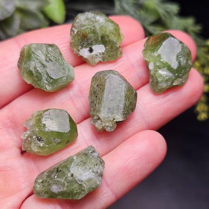 Terminated Chrome Diopside Crystal, Green Alpine Diopside Specimen