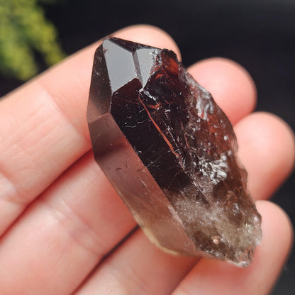 Smoky Quartz Crystal Point from Brazil