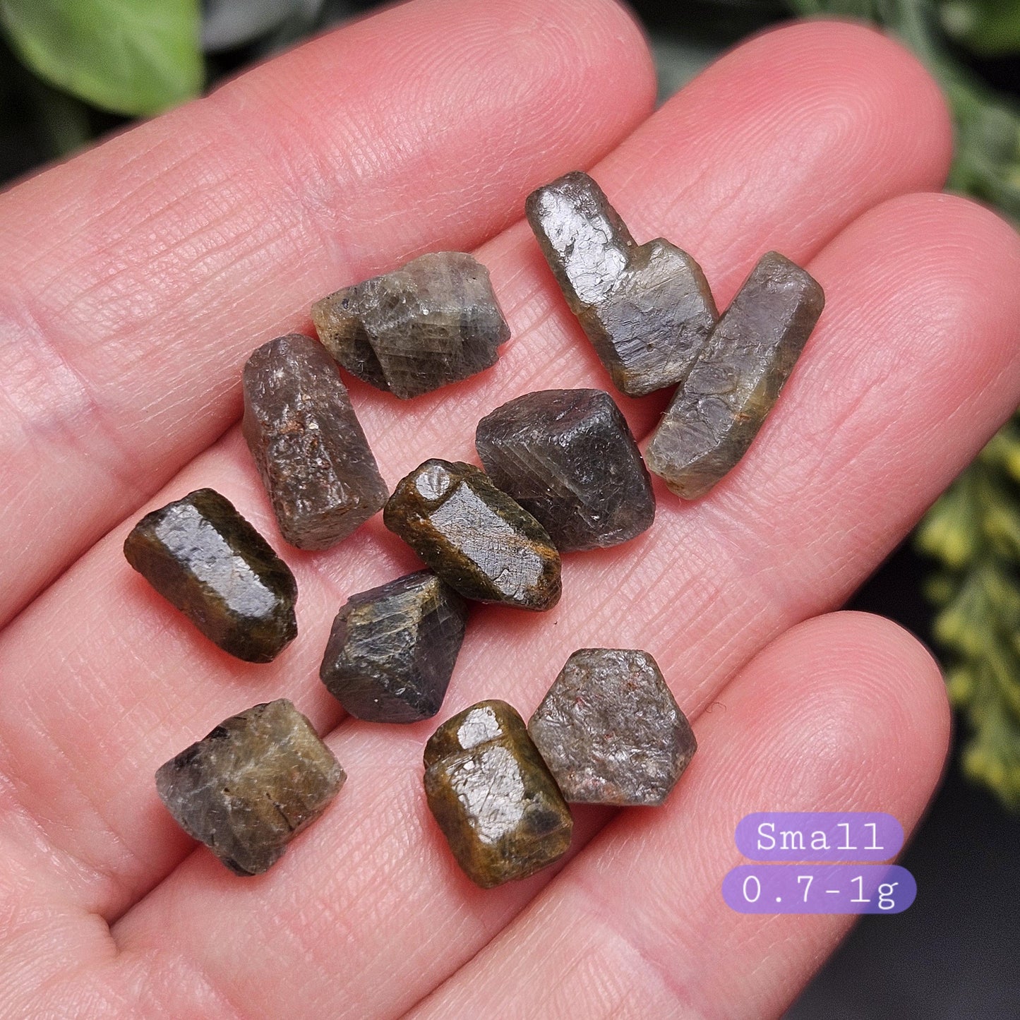 Bicolor Sapphire Crystal, BLUE & GOLD Raw Hexagonal Prism Madagascar Bicolored Sapphire Specimen