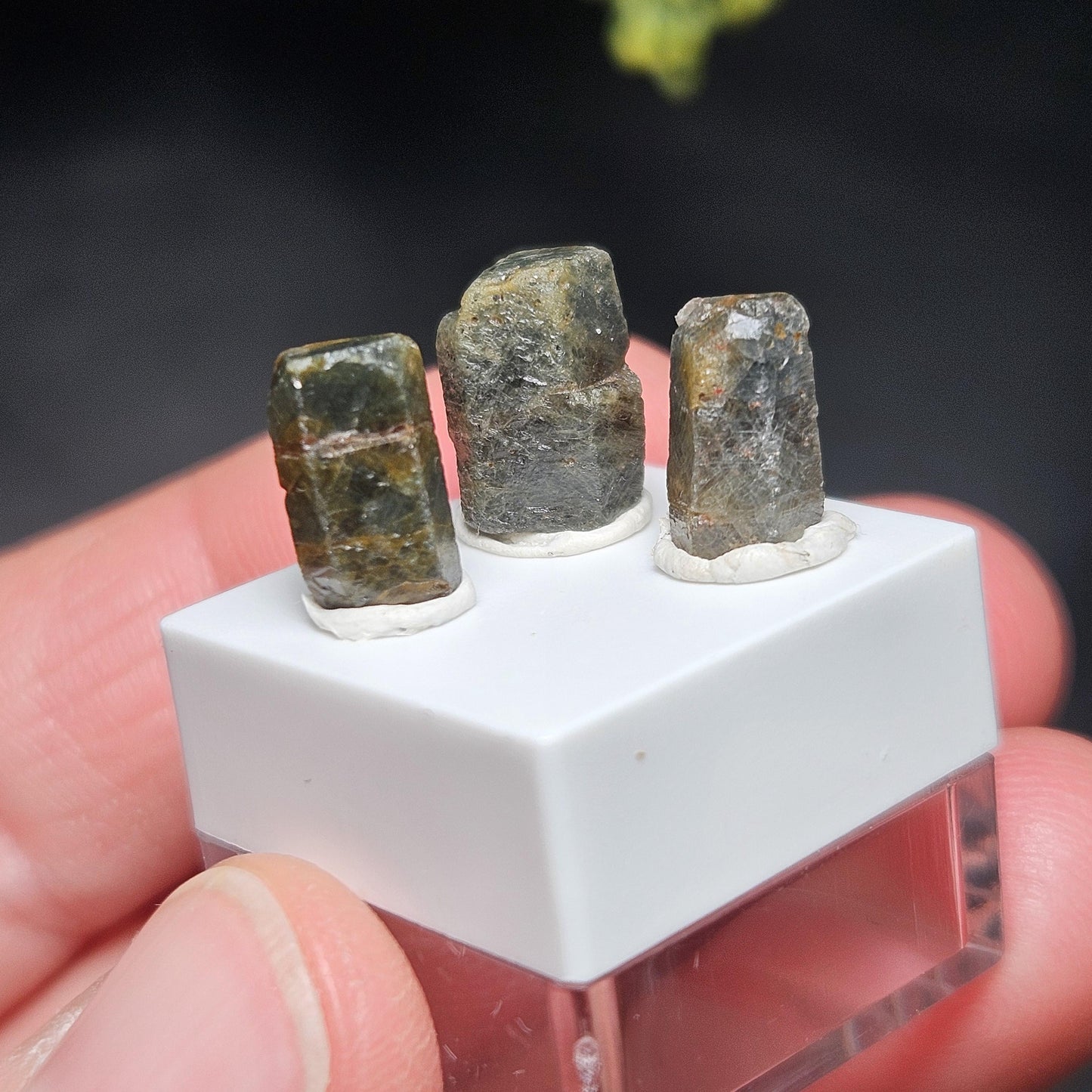 Bicolor Sapphire Crystal, BLUE & GOLD Raw Hexagonal Prism Madagascar Bicolored Sapphire Specimen