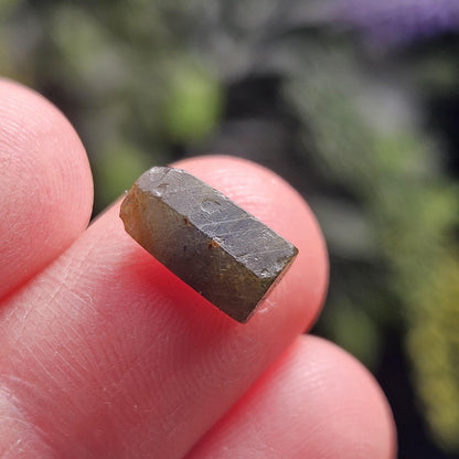 Bicolor Sapphire Crystal, BLUE & GOLD Raw Hexagonal Prism Madagascar Bicolored Sapphire Specimen