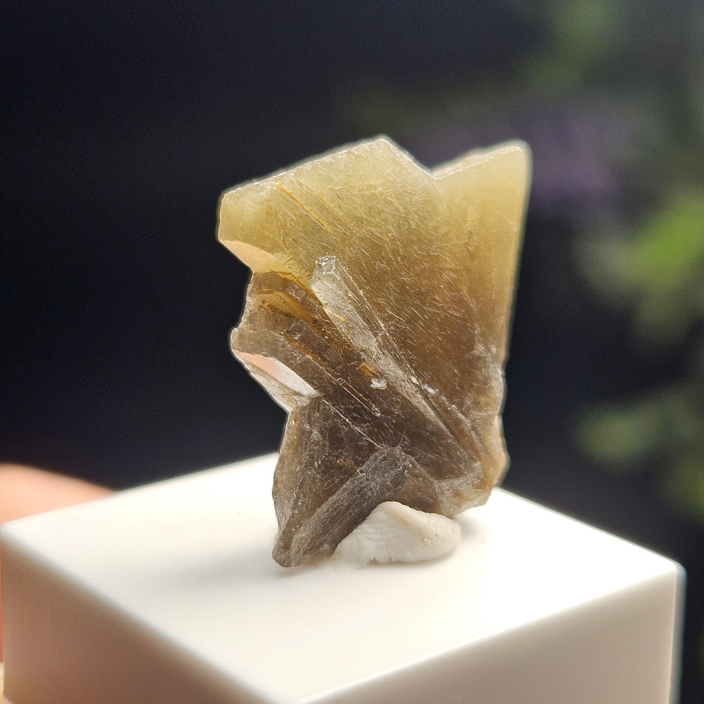 Twinned Bicolor Chrysoberyl Specimen 16.43ct, RARE Yellow Twin Chrysoberyl Crystal