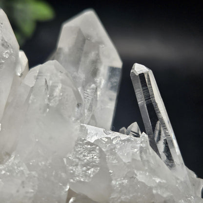 Arkansas Quartz RECORD KEEPER Crystal Cluster, 486.7 grams