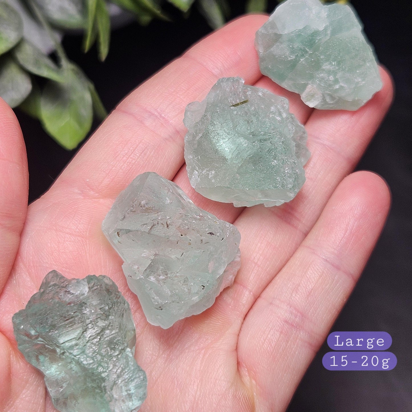 Etched Himalayan Green Fluorite Crystal, Icy Green Raw Fluorite Specimen