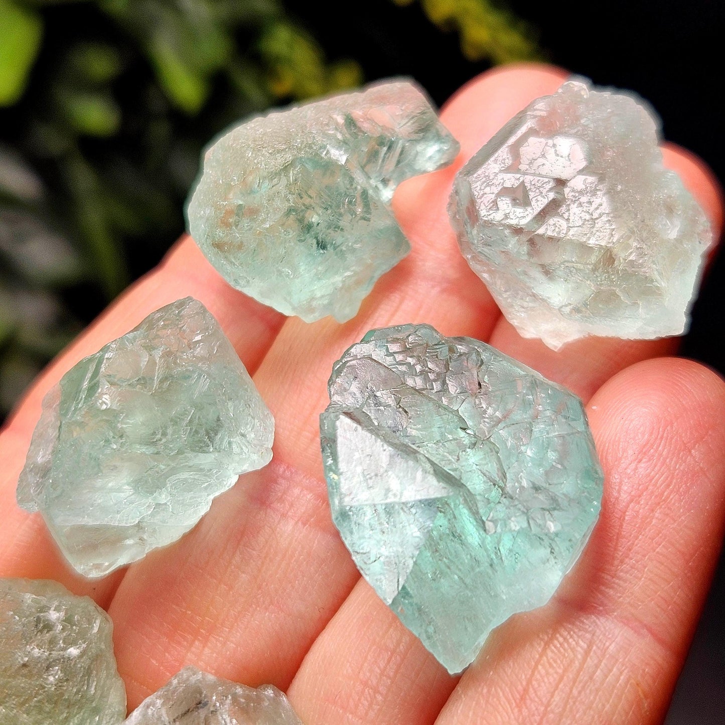 Etched Himalayan Green Fluorite Crystal, Icy Green Raw Fluorite Specimen