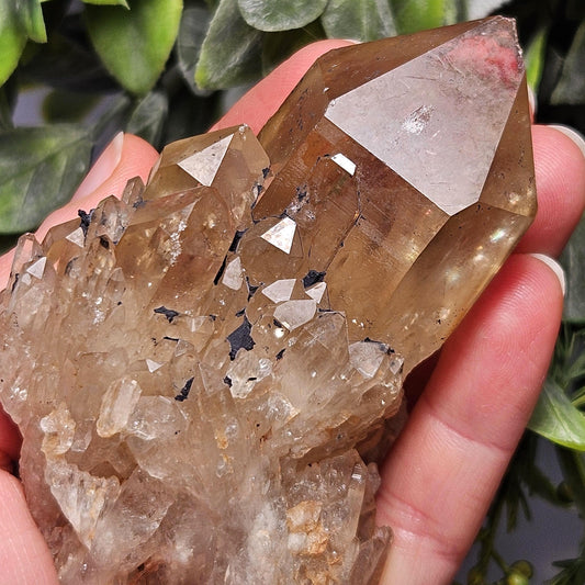 Kundalini Congo Citrine Quartz Cluster 213g, Smoky Citrine Crystal Multi