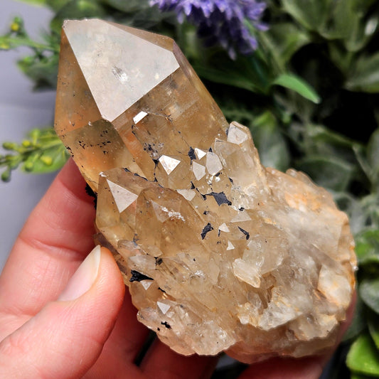Kundalini Congo Citrine Quartz Cluster 213g, Smoky Citrine Crystal Multi