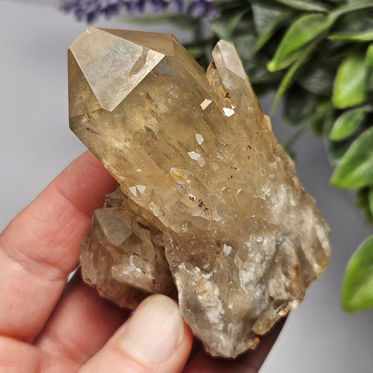 Kundalini Congo Citrine Quartz Cluster 146g, Smoky Citrine Crystal Multi