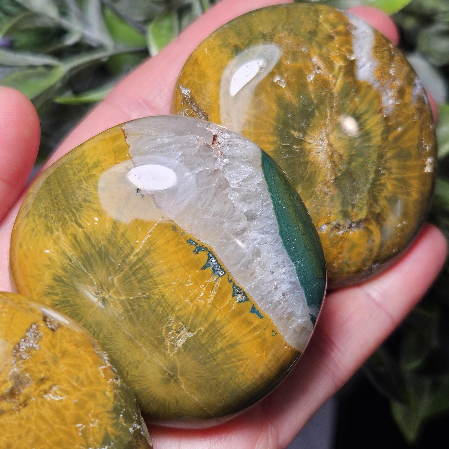 Starburst Ocean Jasper Palm Stone 2"+, Kabamby Madagascar Golden Ocean Jasper Crystal