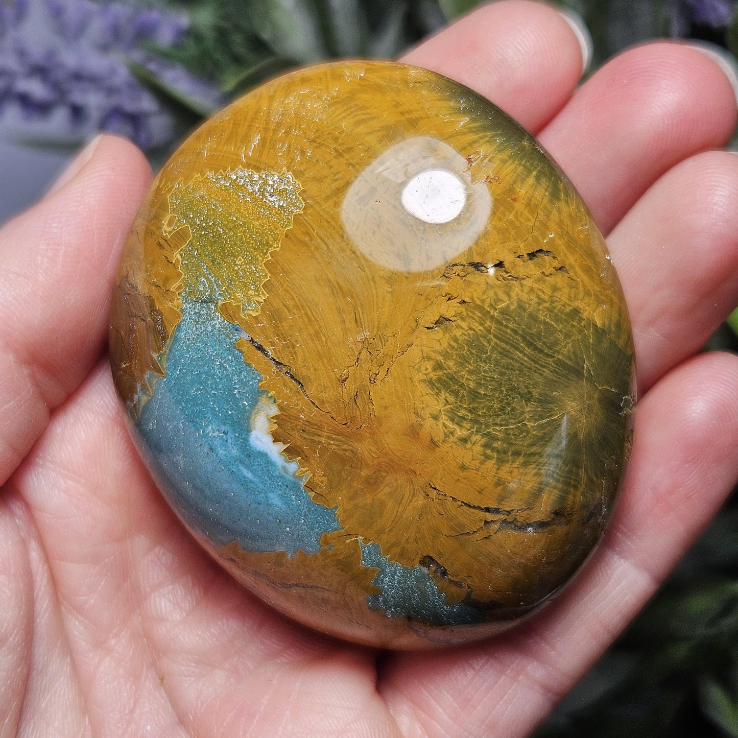 Starburst Ocean Jasper Palm Stone 2"+, Kabamby Madagascar Golden Ocean Jasper Crystal