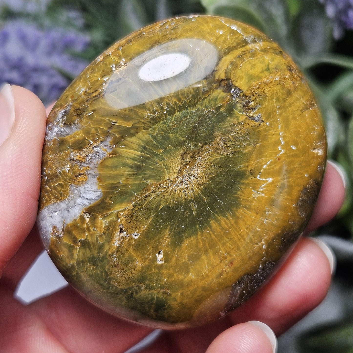 Starburst Ocean Jasper Palm Stone 2"+, Kabamby Madagascar Golden Ocean Jasper Crystal