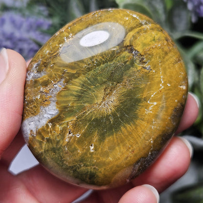 Starburst Ocean Jasper Palm Stone 2"+, Kabamby Madagascar Golden Ocean Jasper Crystal