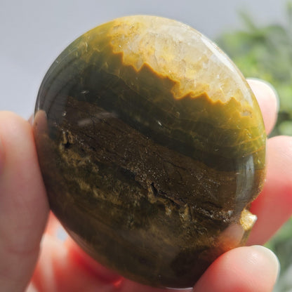 Starburst Ocean Jasper Palm Stone 2"+, Kabamby Madagascar Golden Ocean Jasper Crystal