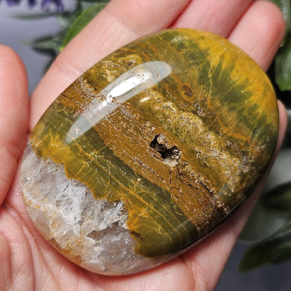 Starburst Ocean Jasper Palm Stone 2"+, Kabamby Madagascar Golden Ocean Jasper Crystal